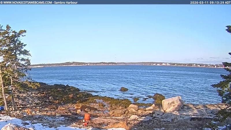 Sambro Harbour