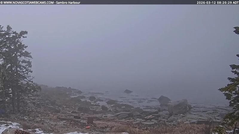 Sambro Harbour