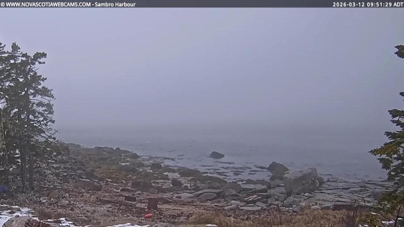 Sambro Harbour
