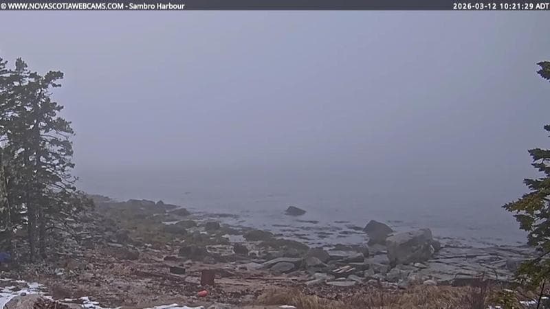Sambro Harbour