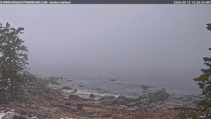 Sambro Harbour