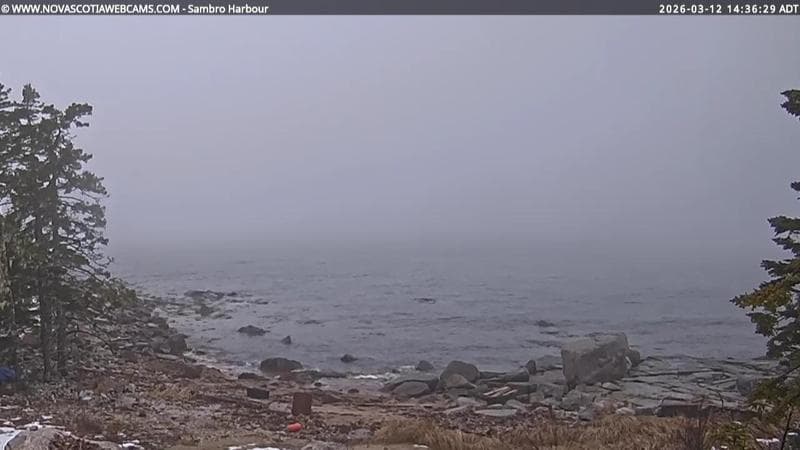 Sambro Harbour
