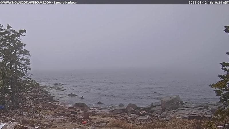 Sambro Harbour