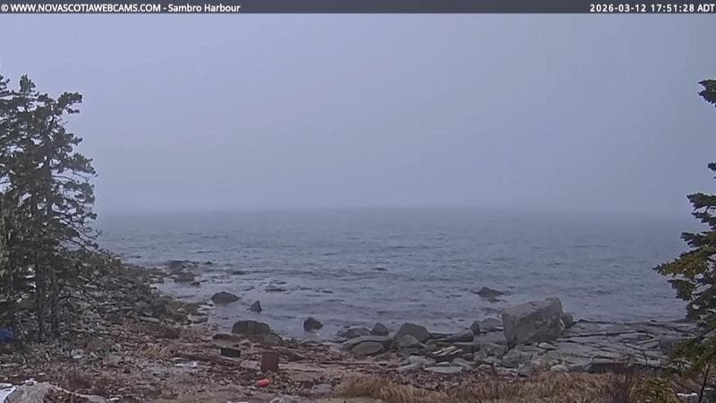 Sambro Harbour