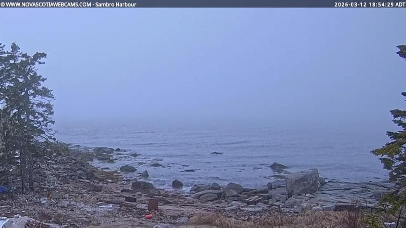 Sambro Harbour