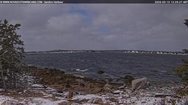 Sambro Harbour