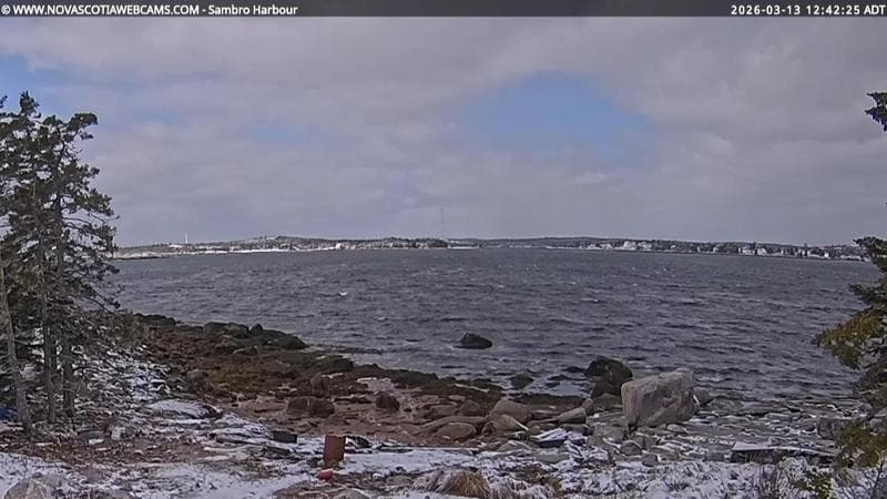 Sambro Harbour
