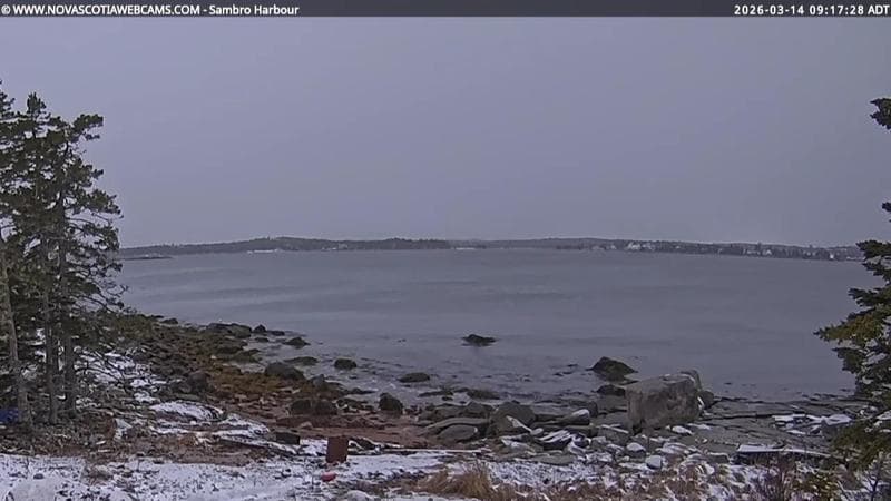 Sambro Harbour