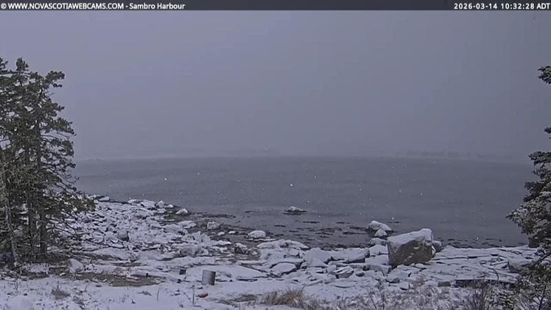 Sambro Harbour