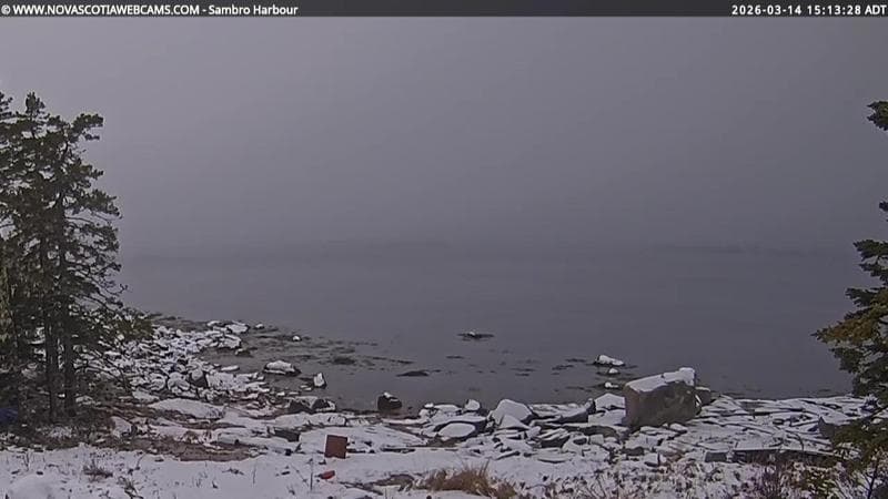 Sambro Harbour