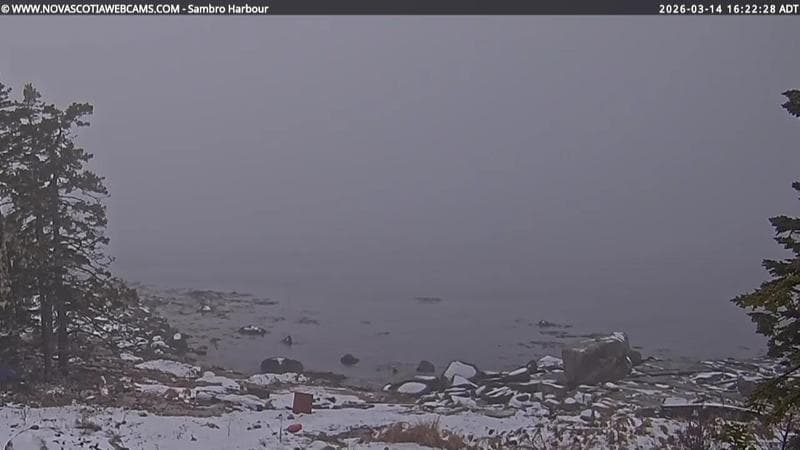 Sambro Harbour