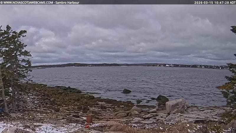 Sambro Harbour