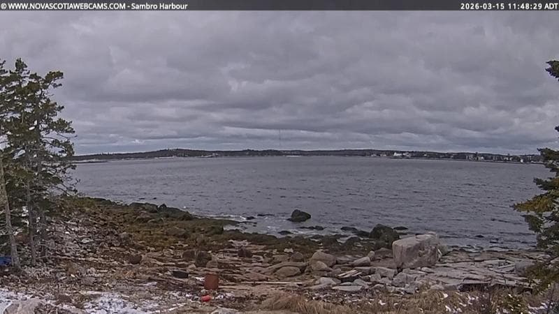 Sambro Harbour