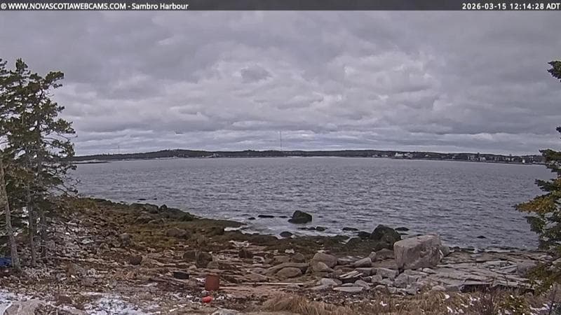 Sambro Harbour