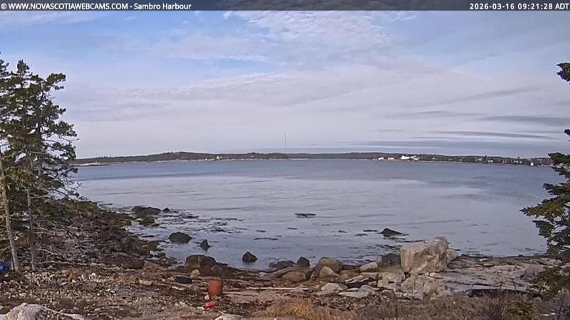Sambro Harbour