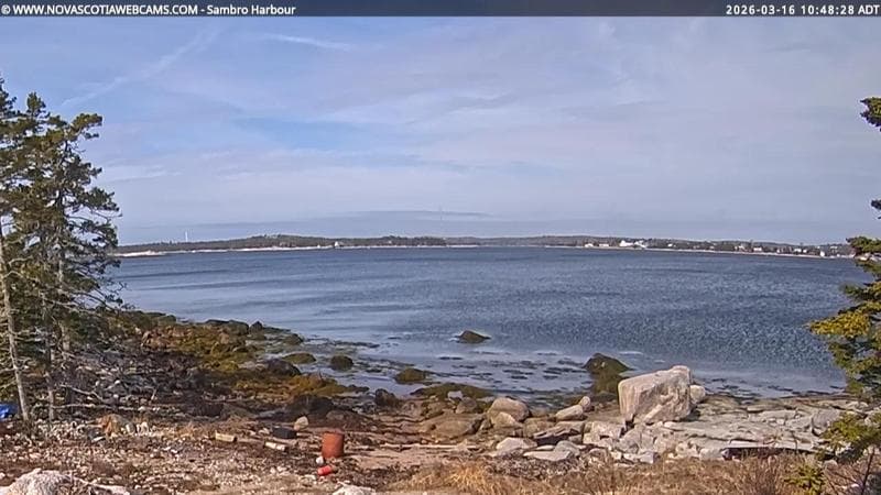 Sambro Harbour