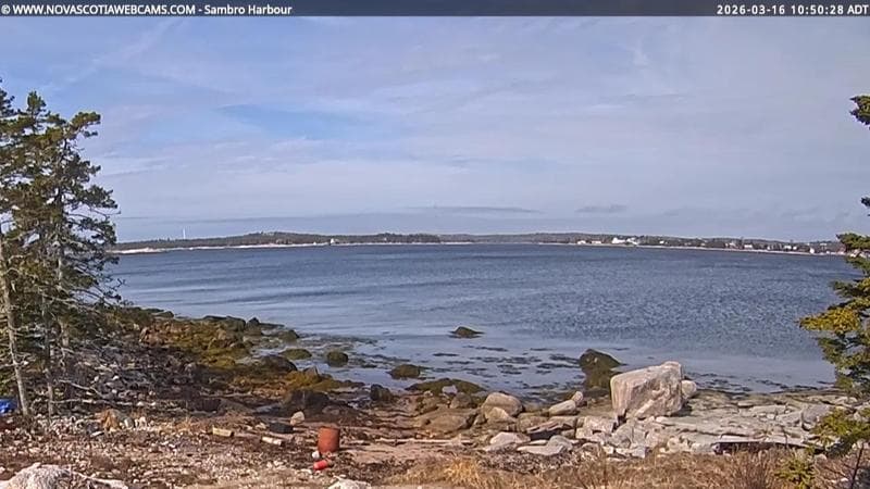 Sambro Harbour