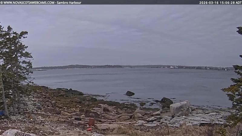 Sambro Harbour