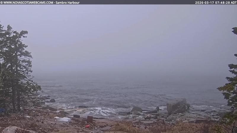 Sambro Harbour