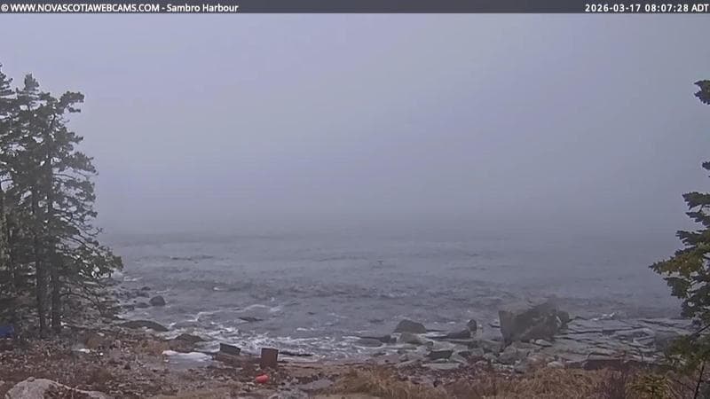 Sambro Harbour