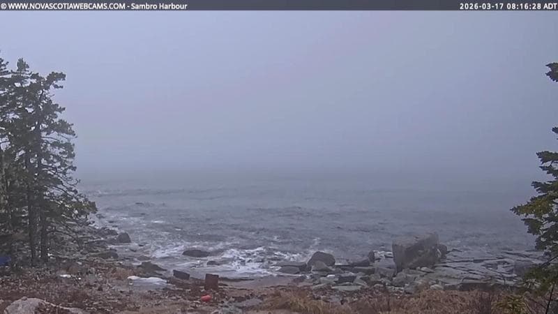 Sambro Harbour