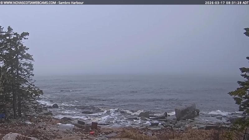 Sambro Harbour