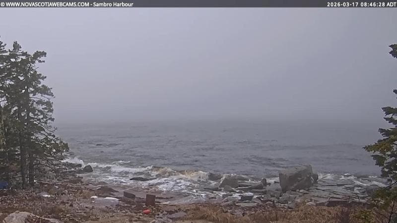 Sambro Harbour
