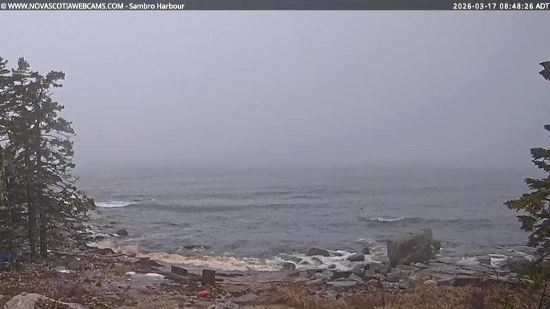 Sambro Harbour