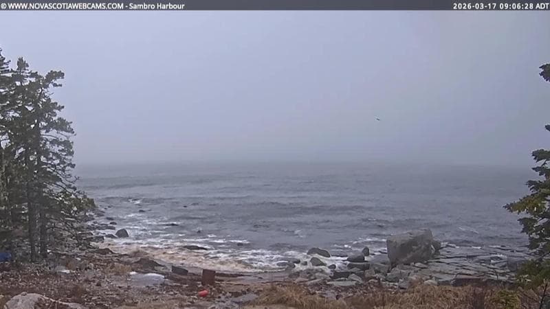 Sambro Harbour