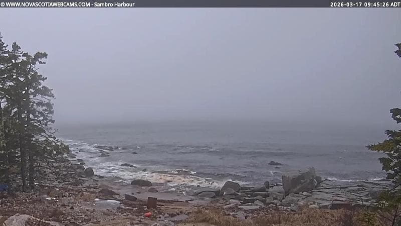 Sambro Harbour