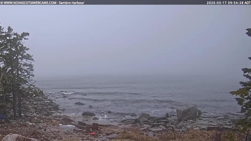 Sambro Harbour