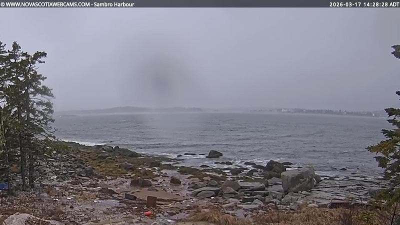 Sambro Harbour