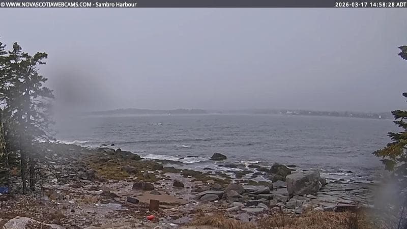 Sambro Harbour