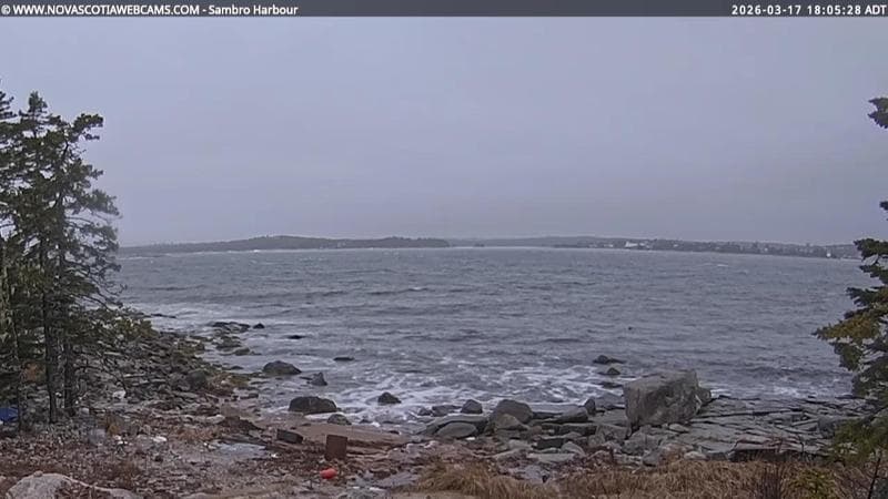 Sambro Harbour