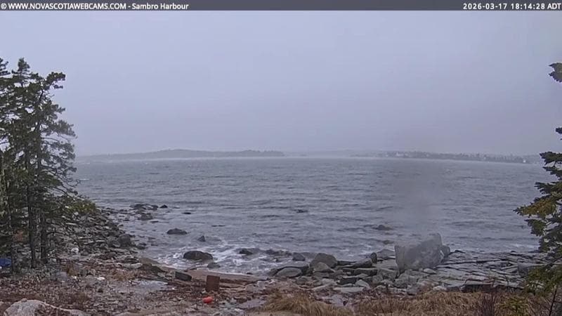 Sambro Harbour