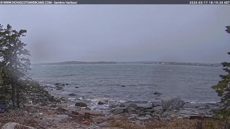 Sambro Harbour