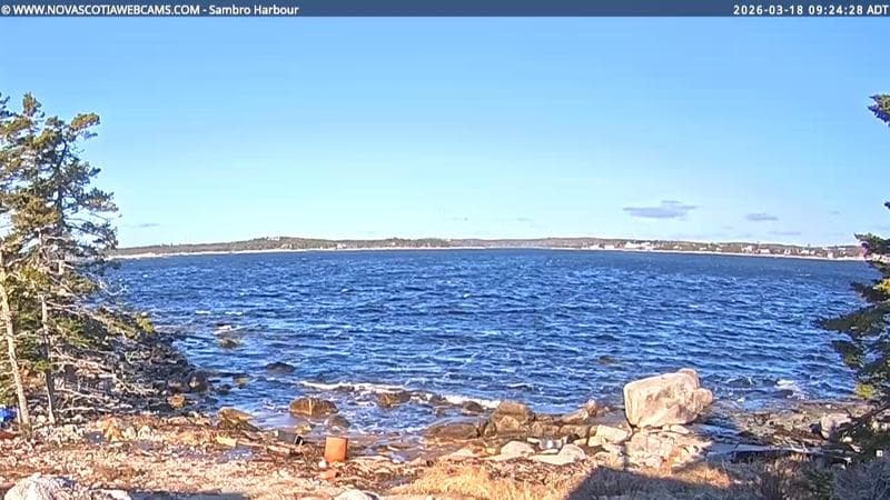 Sambro Harbour