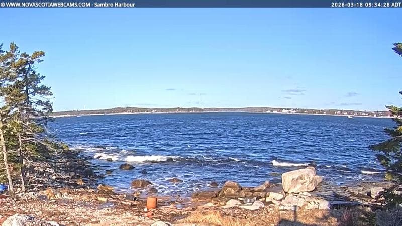 Sambro Harbour