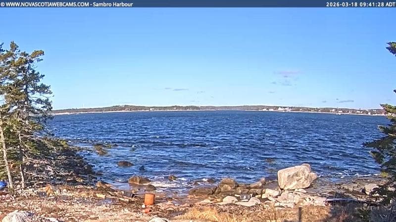 Sambro Harbour
