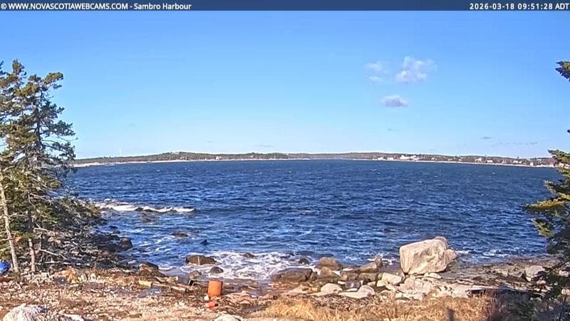 Sambro Harbour
