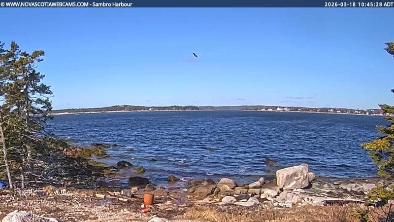 Sambro Harbour