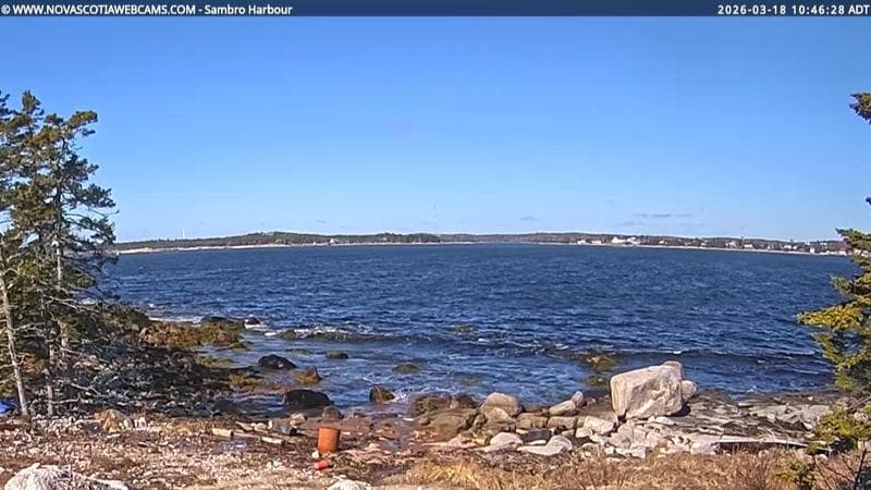 Sambro Harbour
