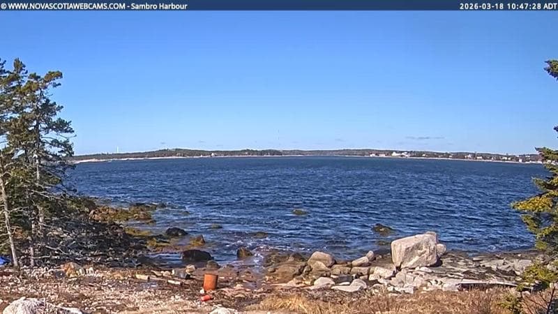 Sambro Harbour