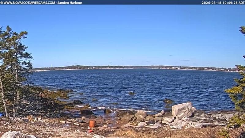Sambro Harbour