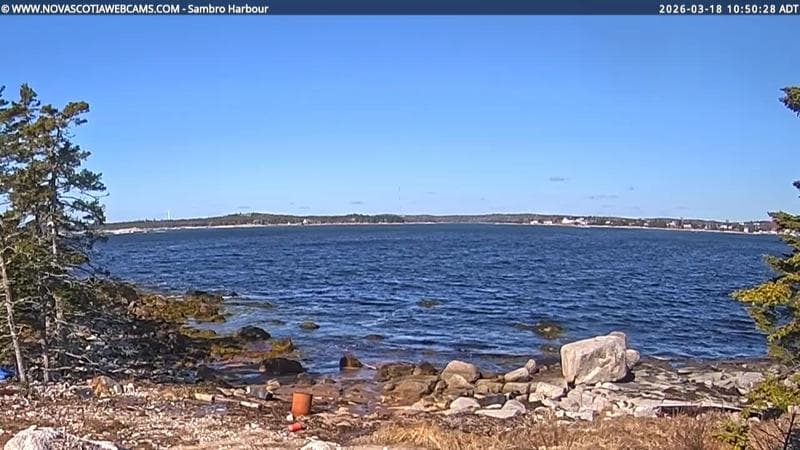 Sambro Harbour