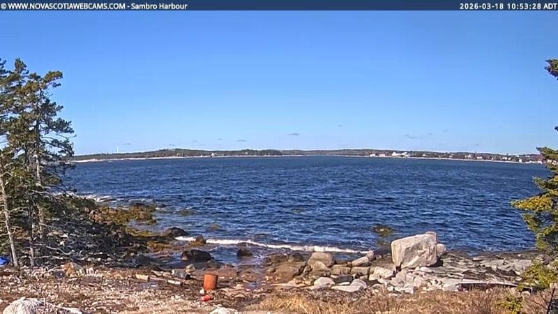 Sambro Harbour