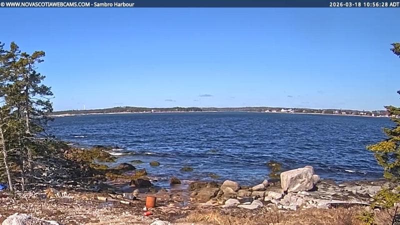 Sambro Harbour