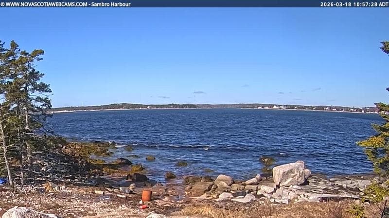 Sambro Harbour