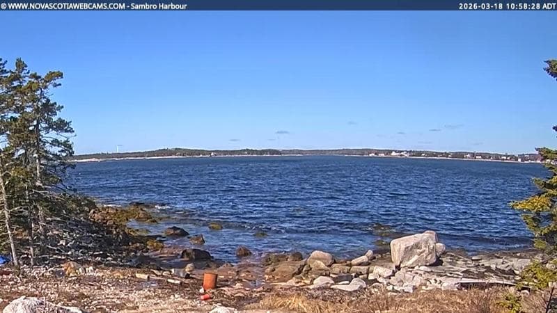 Sambro Harbour