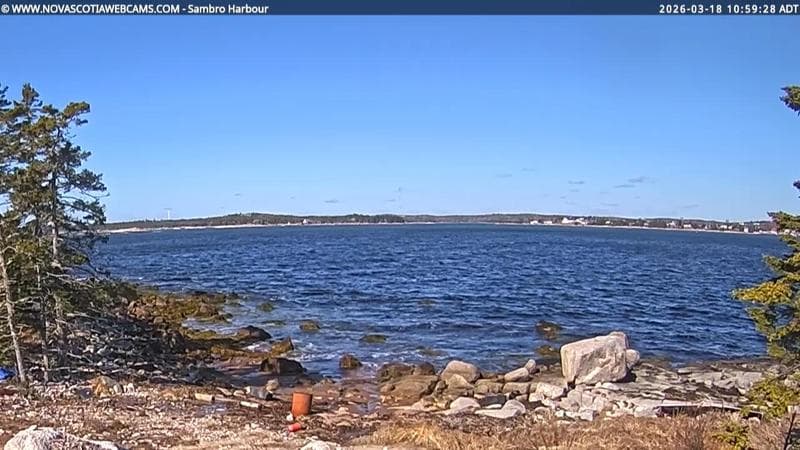 Sambro Harbour